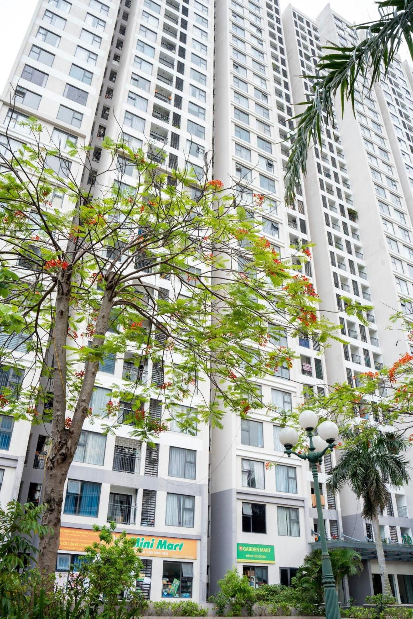 By'S House- Can Ho View Bien ฮาลอง ภายนอก รูปภาพ